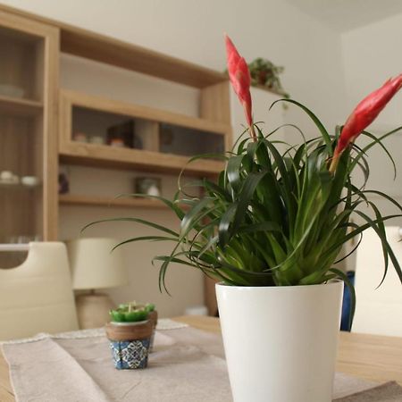 Ohana: Casa Nel Centro Di Lecce Buitenkant foto