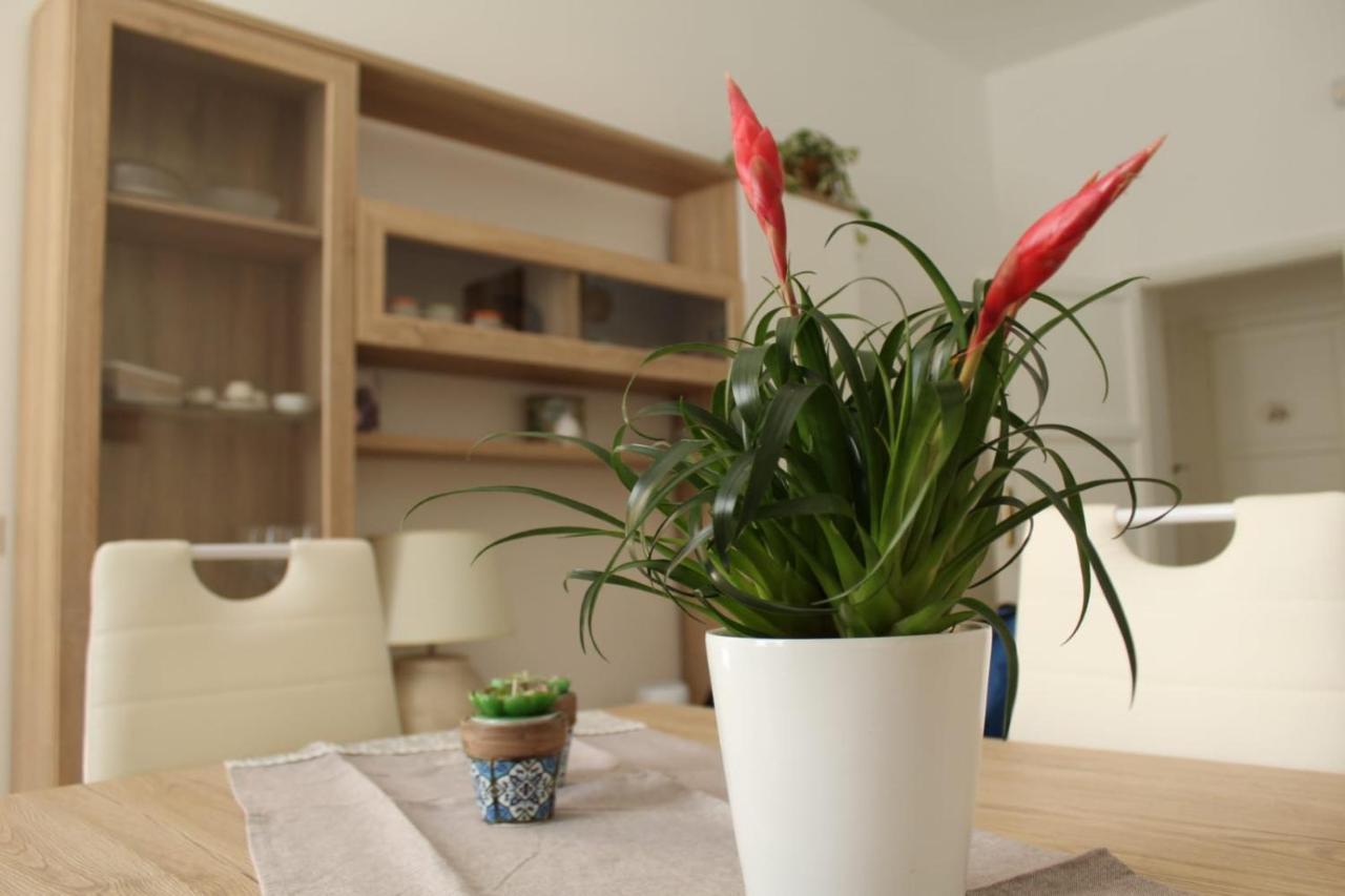 Ohana: Casa Nel Centro Di Lecce Buitenkant foto